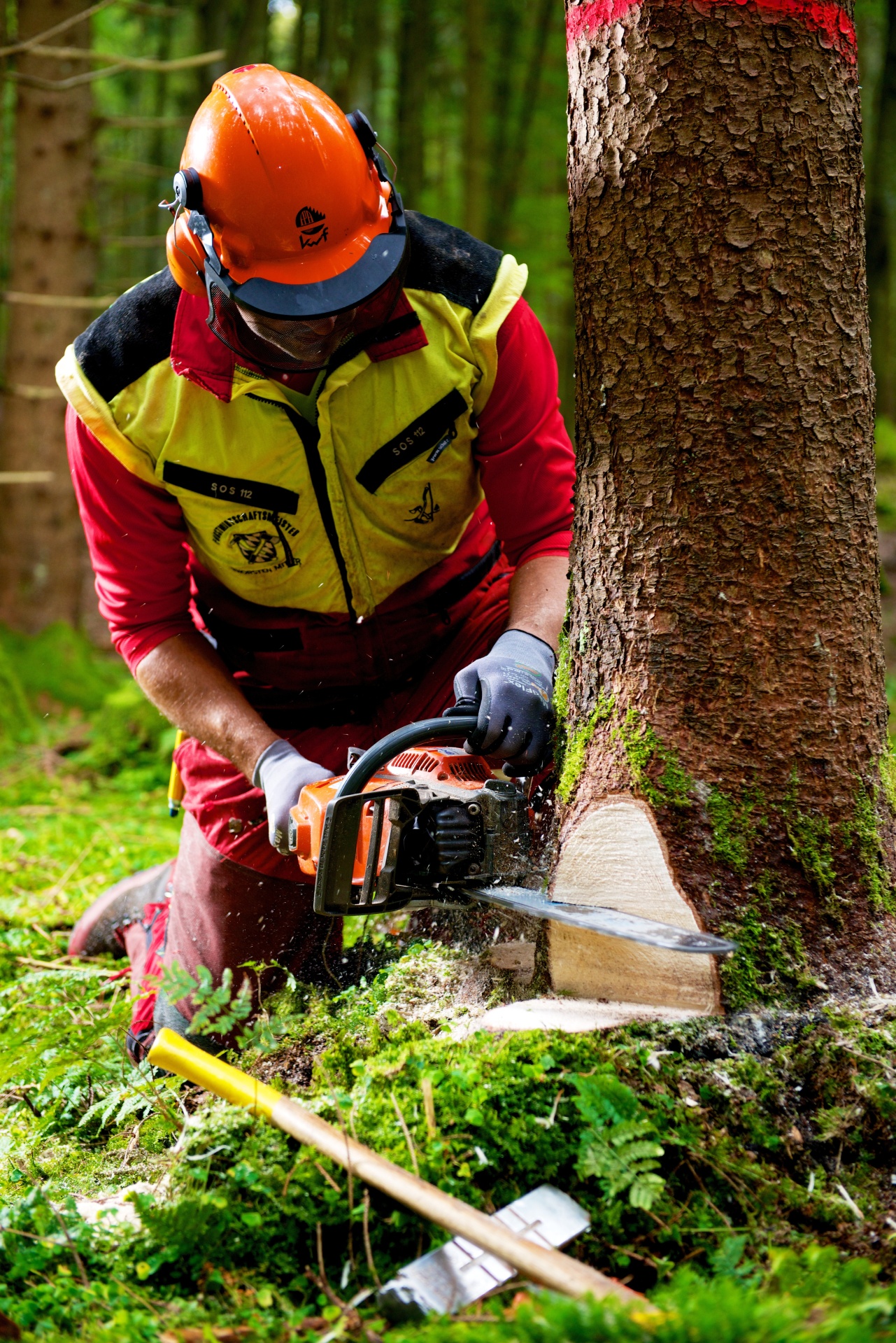 Forstarbeiter bei Baumfällarbeiten