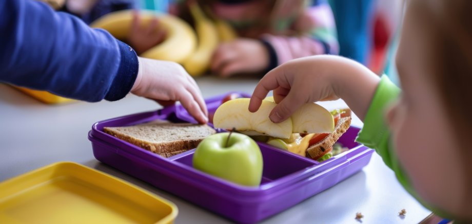 Toddlers Lunchbox: A Healthy and Delicious Meal Toddlers Lunchbox: A Healthy and Delicious Meal