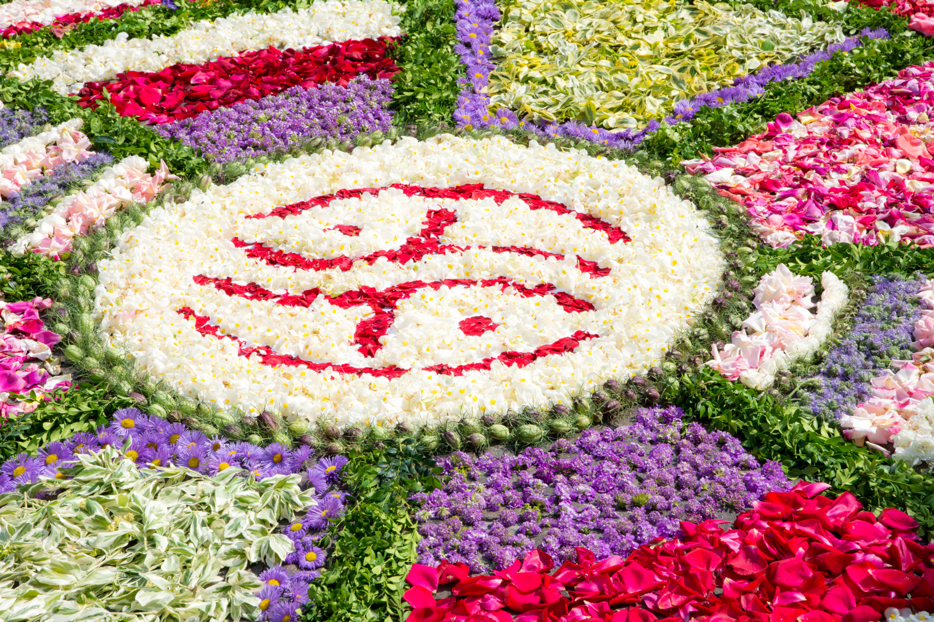 Flower Carpet