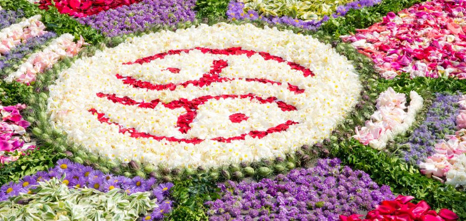 Flower Carpet
