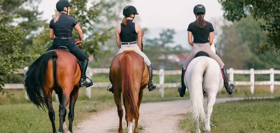 Three horsewomen enjoy riding horses side by side on a sunny day Three horsewomen enjoy riding horses side by side on a sunny day