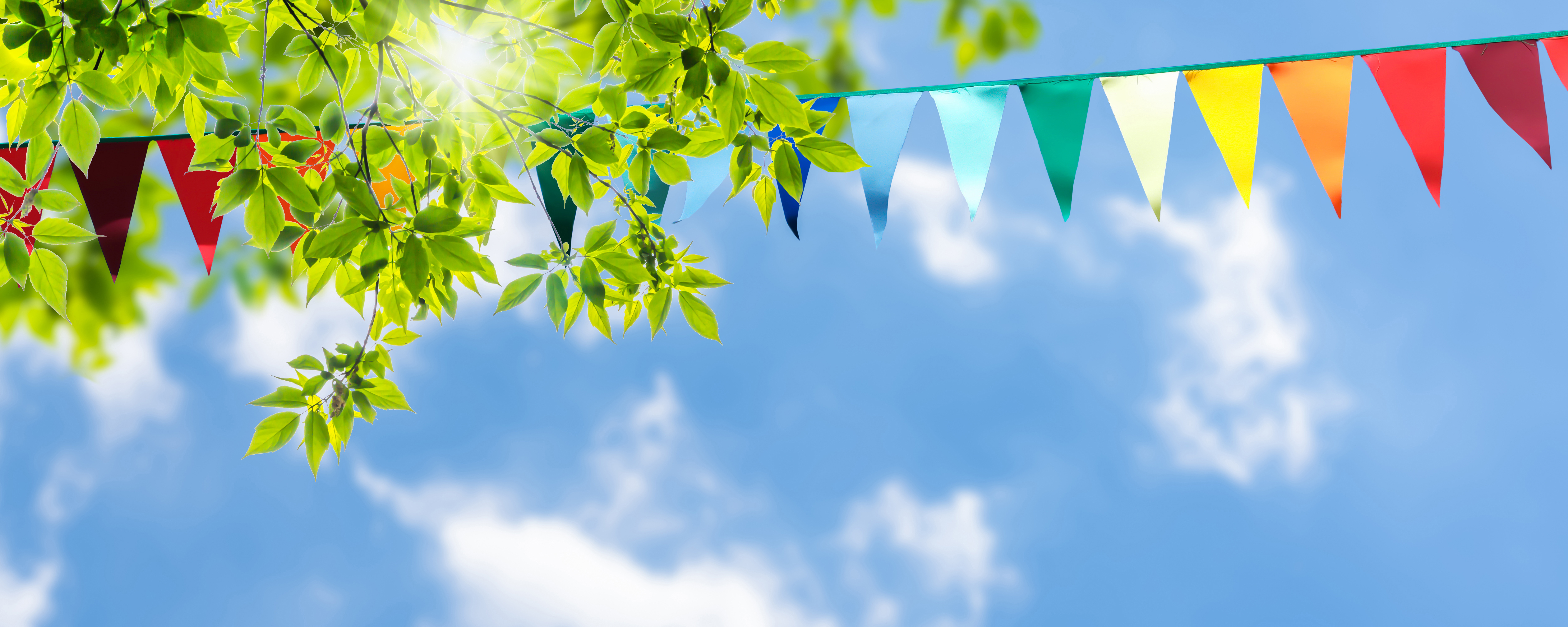 colorful pennant string decoration in green tree foliage on blue