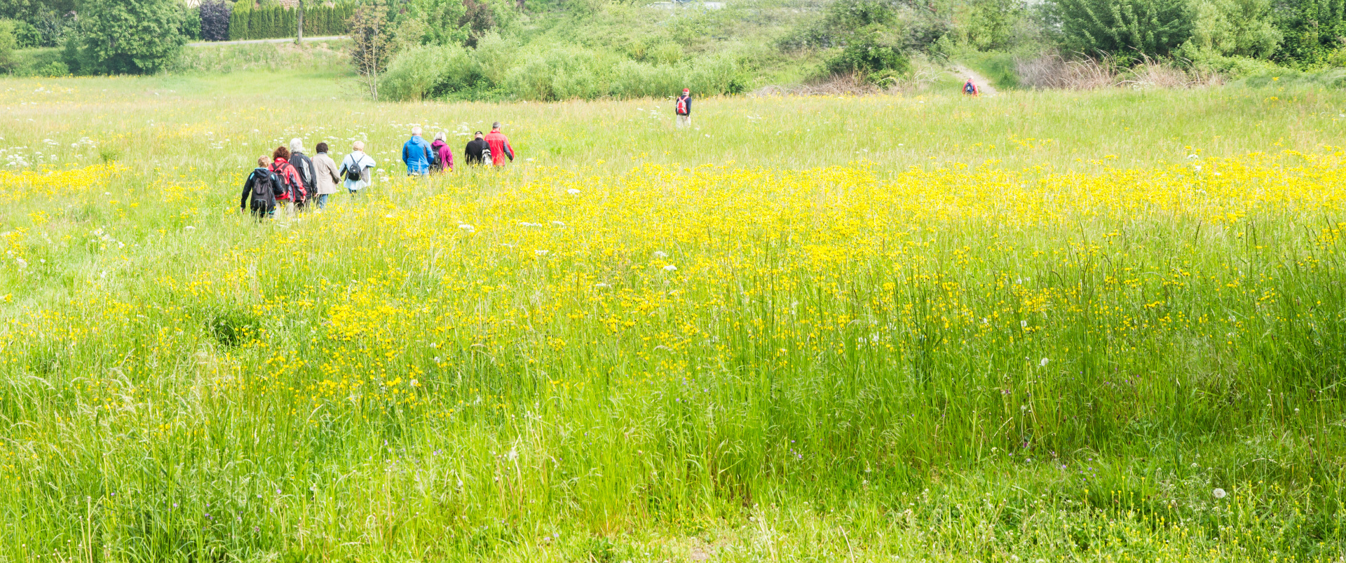 Wandergruppe