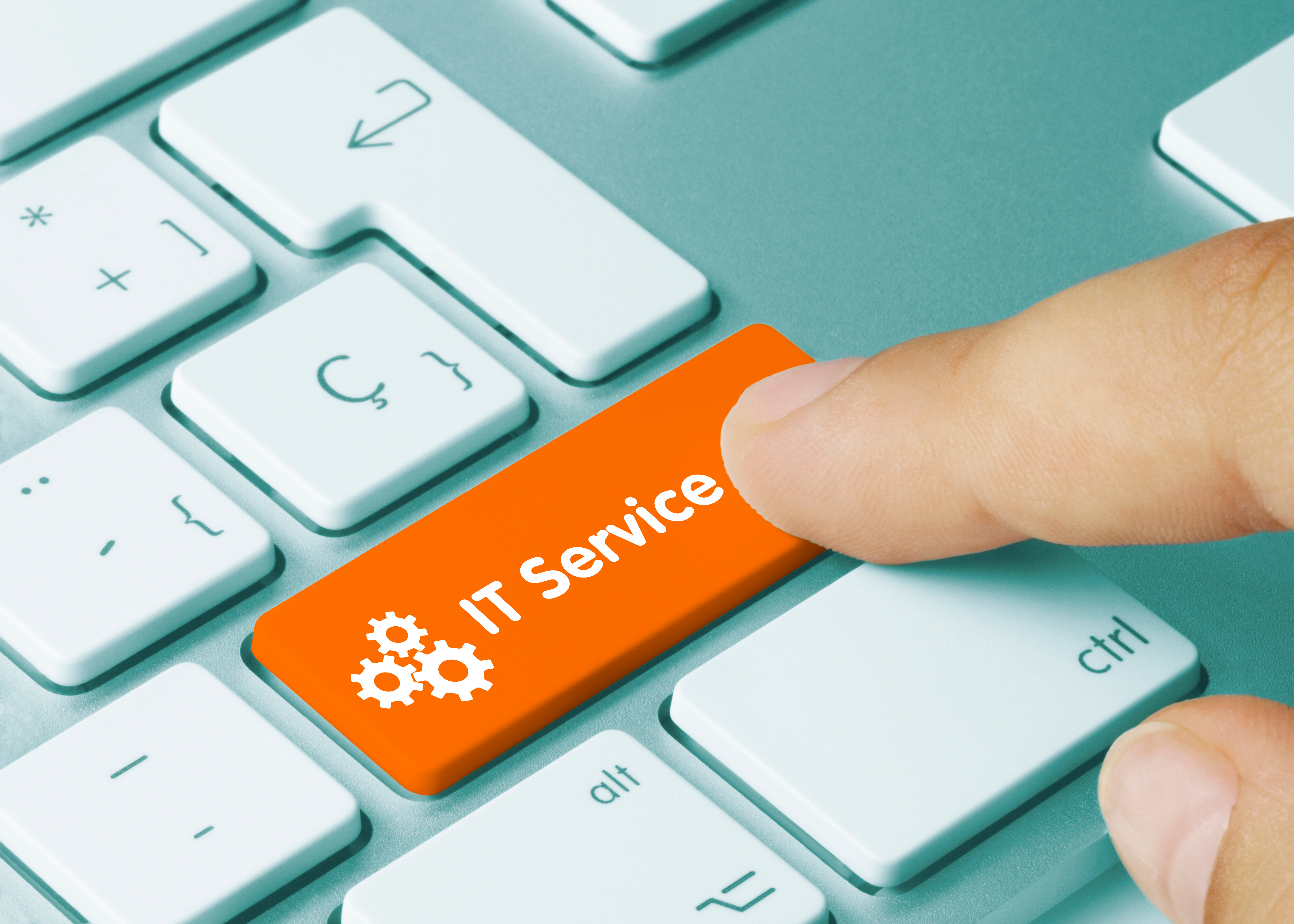 IT Service