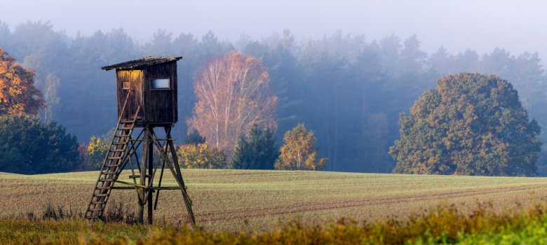 Hunting tower on the edge of the forest during a beautiful sunrise on a foggy morning Hunting tower on the edge of the forest during a beautiful sunrise on a foggy morning